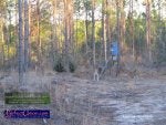 5-whitetail-bucks-east-texas-1-9-2011-934.JPG